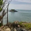 qunh.trang5990