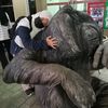niayons