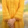 mrpakhtun72