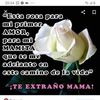 rodriguezverza72g