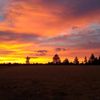 fredgrass919