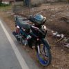 iyelygy