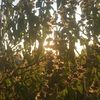 minecraft_1479