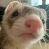 lebthemighty