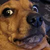 daxsiie