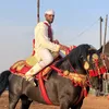 hmadbadi3