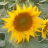user19596530762022