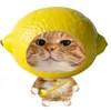 hhvy021