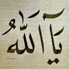 user78cfynel3t
