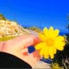 gamzeli_mersin7