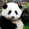 user9z17ddihx5