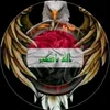 🦅صقر الجبل 313🦅