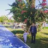 akif.nematov
