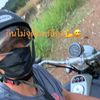 vichendongchan499