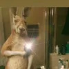 rossyescalona5