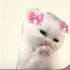 aleenmasoud4