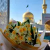 maryamhaidari03
