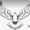 wahidullahazizi71