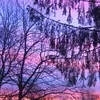 jb_032021