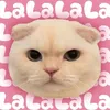 119.080