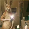 mathiastcgamer
