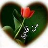 hussain.ali0022