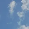 rismylnt