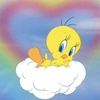 tweety.92