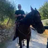 alessandroscacci7