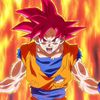 goku7282829