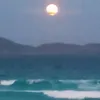 kinhocosta31