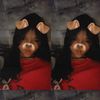 oliviaakusumoo