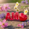 ashwinkumarnishad6
