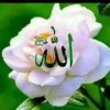 zabiba.yimam