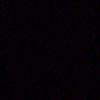 dima.dandon