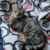 laura.nom_de_guerre
