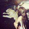 asha_m4