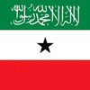 darajoh8