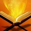 mazen_mohamed89