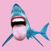 ccharkkattackk