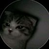 kiff2125