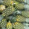 fruti.agro.comgt