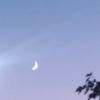 user17jnnv726m