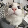 keunixxm_