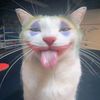 jihan__03