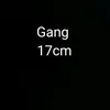 gang17cm_zapas