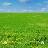 useri4nqdshglt