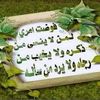 user4zqppgkexs