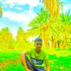 nour.el.din85