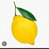 lemon_yesir